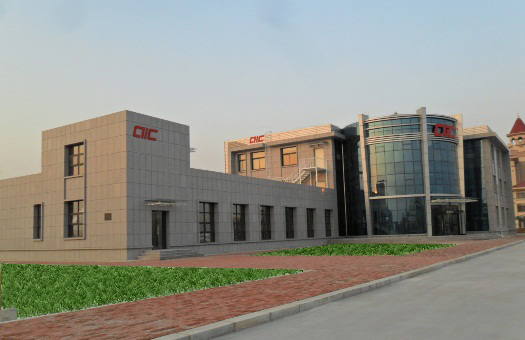 aic egypt